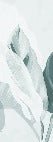 Papier peint feuillage moderne vert d'eau, XXL, tendance