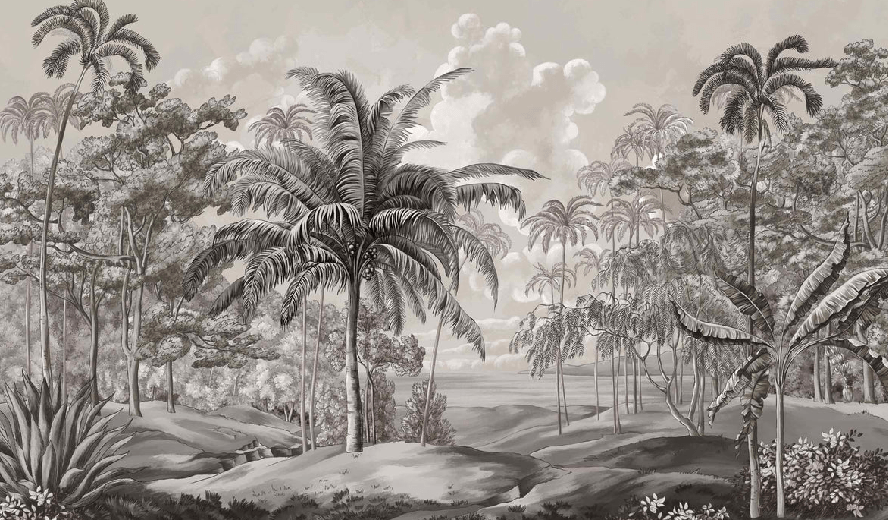 Schwarz-weiße Tapete mit Landschaft auf Sulawesi