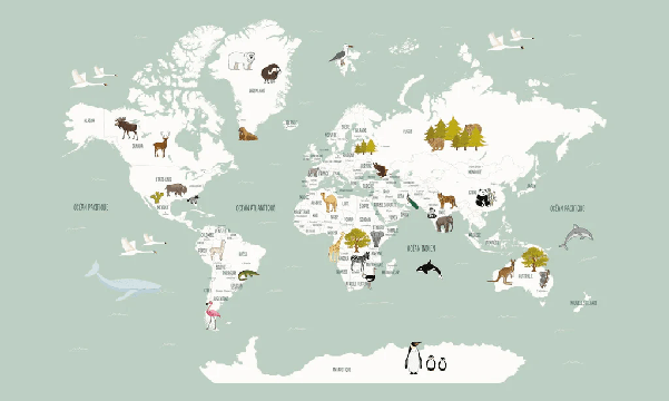 Tapete Weltkarte auf Französisch für Kinder, grün