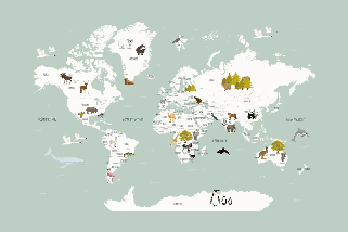 Tapete Weltkarte auf Französisch für Kinder, grün