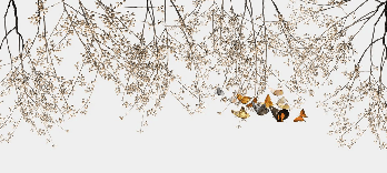 Tapete „Branch & Butterfly“ für das Wohnzimmer