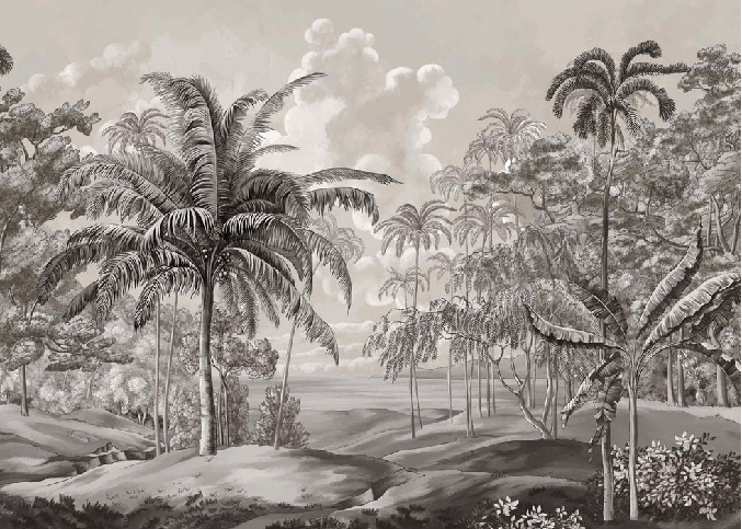 Schwarz-weißes Hintergrundbild der Landschaft von Sulawesi