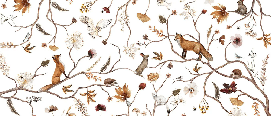 Papier peint enfant forêt aventure - Muralconcept