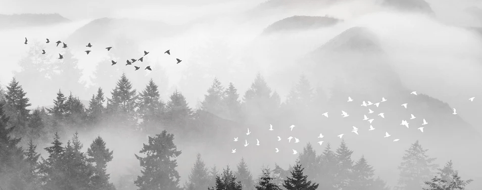 Tapete Mystischer Nebel Mountain