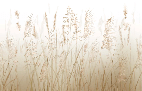 Tapete mit Weizenfeldblumen