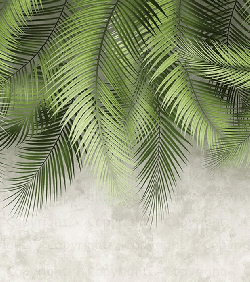 Papier peint feuille palmier et mur ciment, XXL, tendance