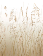Tapete mit Weizenfeldblumen