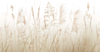 Tapete mit Weizenfeldblumen