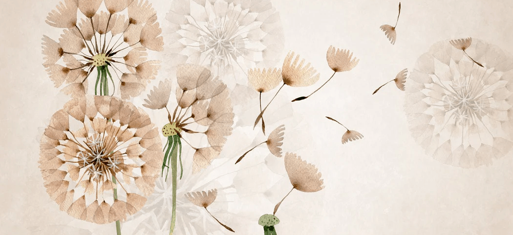 Tapete mit Löwenzahnblumen