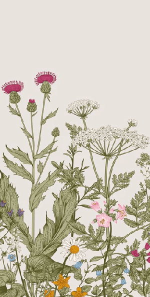 Romantische Tapete mit botanischem Blumenmuster im Folk-Stil