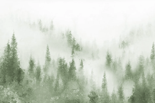 Tapete Bistro Tanne Nebel grün Aquarell