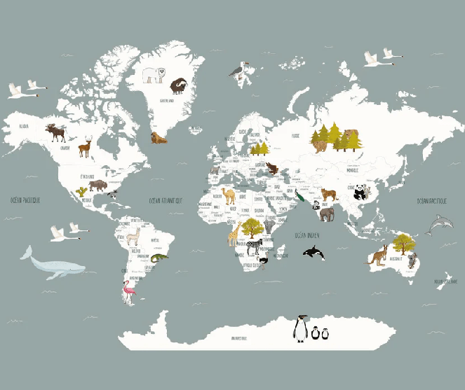 Tapete Weltkarte auf Französisch für Kinder, grau