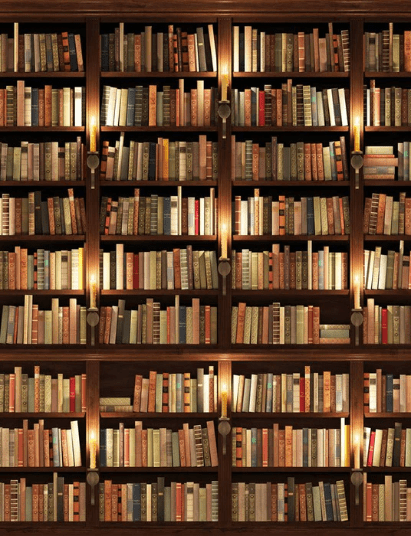 Trompe-l'œil-Tapete Authentische Bibliothek