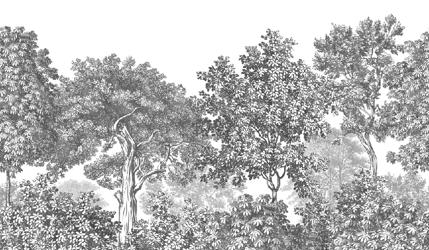 Landschafts-Tapete Waldgravur schwarz-weiß