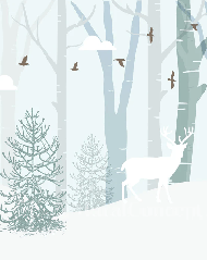 Tapete Kinderzimmer Lappland