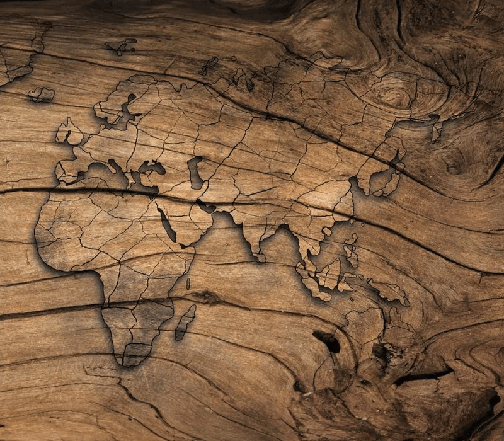 Tapete Wood & Map