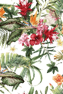 Tropische Tapete & Bunte Blumen