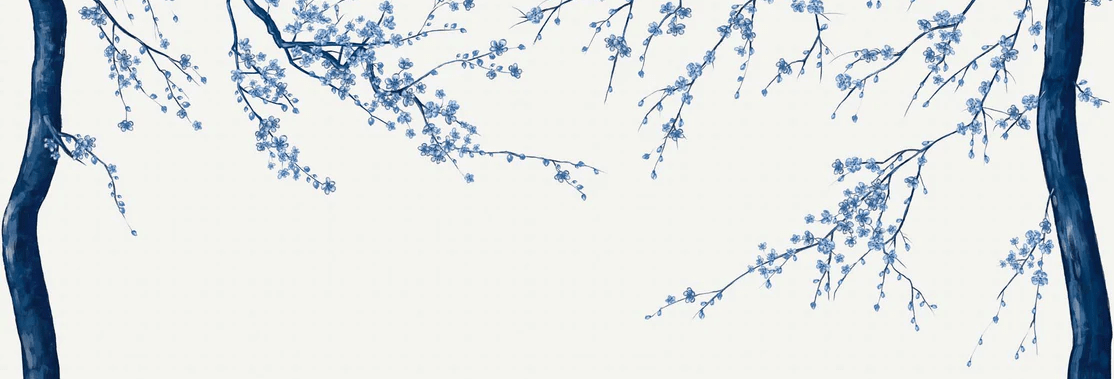 Sakura weiße Panorama-Blumentapete