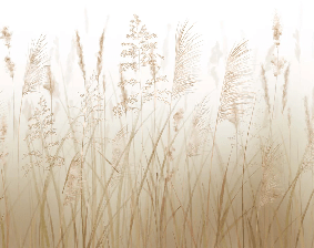 Tapete mit Weizenfeldblumen