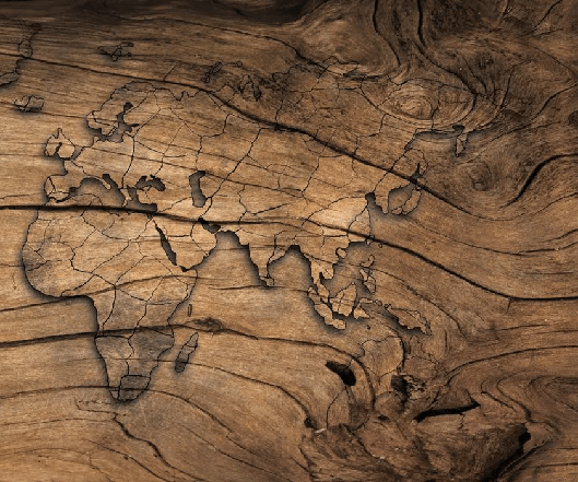 Tapete Wood & Map