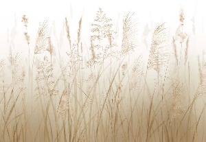 Tapete mit Weizenfeldblumen