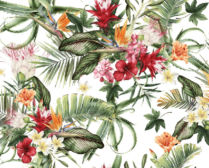 Tropische Tapete & Bunte Blumen