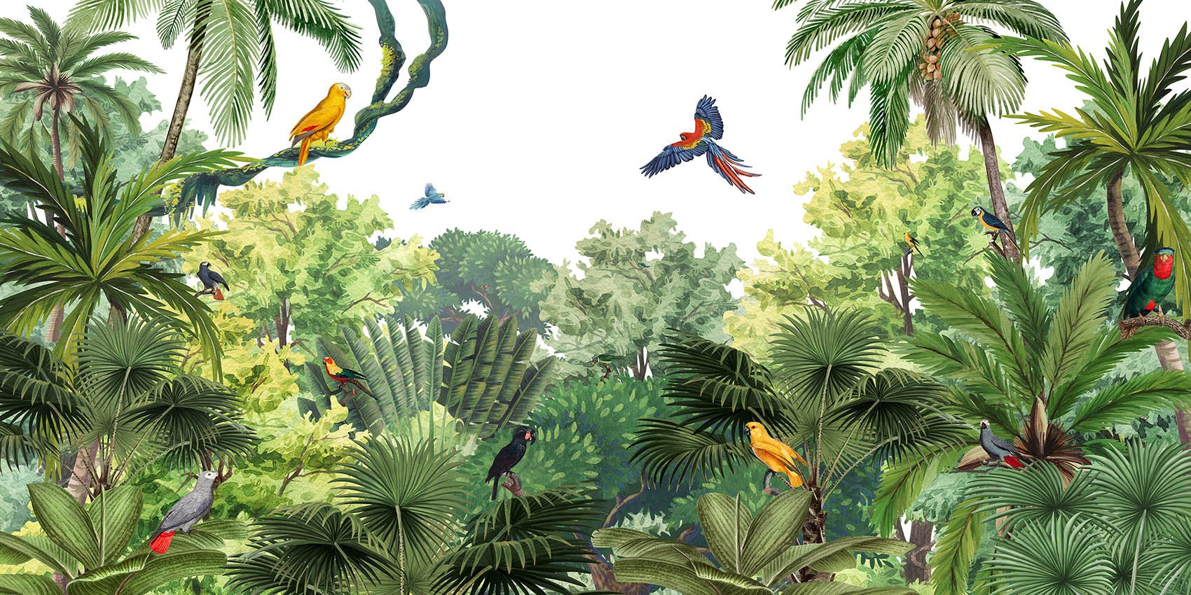 Papier peint enfant perroquets exotiques, XXL, tendance
