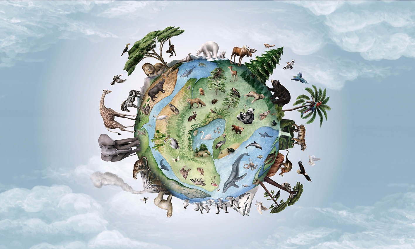 Papier peint enfant planète animaux, XXL, tendance