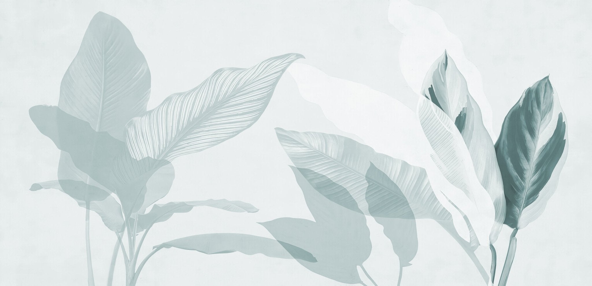 Papier peint feuillage moderne vert d'eau, XXL, tendance