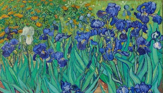 Tapete mit Irisblumen