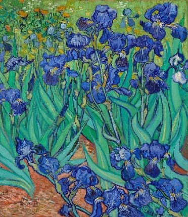 Tapete mit Irisblumen