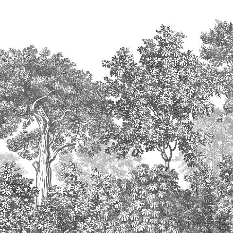 Tapete Landschaft Wald Gravur schwarz und weiß