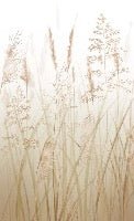 Tapete Blume der Weizenfelder