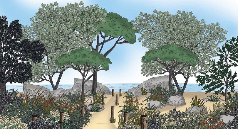 Papier peint paysage France bord de mer, XXL, tendance