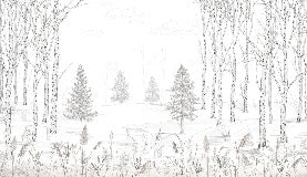 Tapete Wald von Bäumen schwarz und weiß