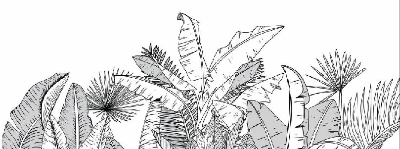 Schwarz-weiße Panorama-Tapete botanic leaf