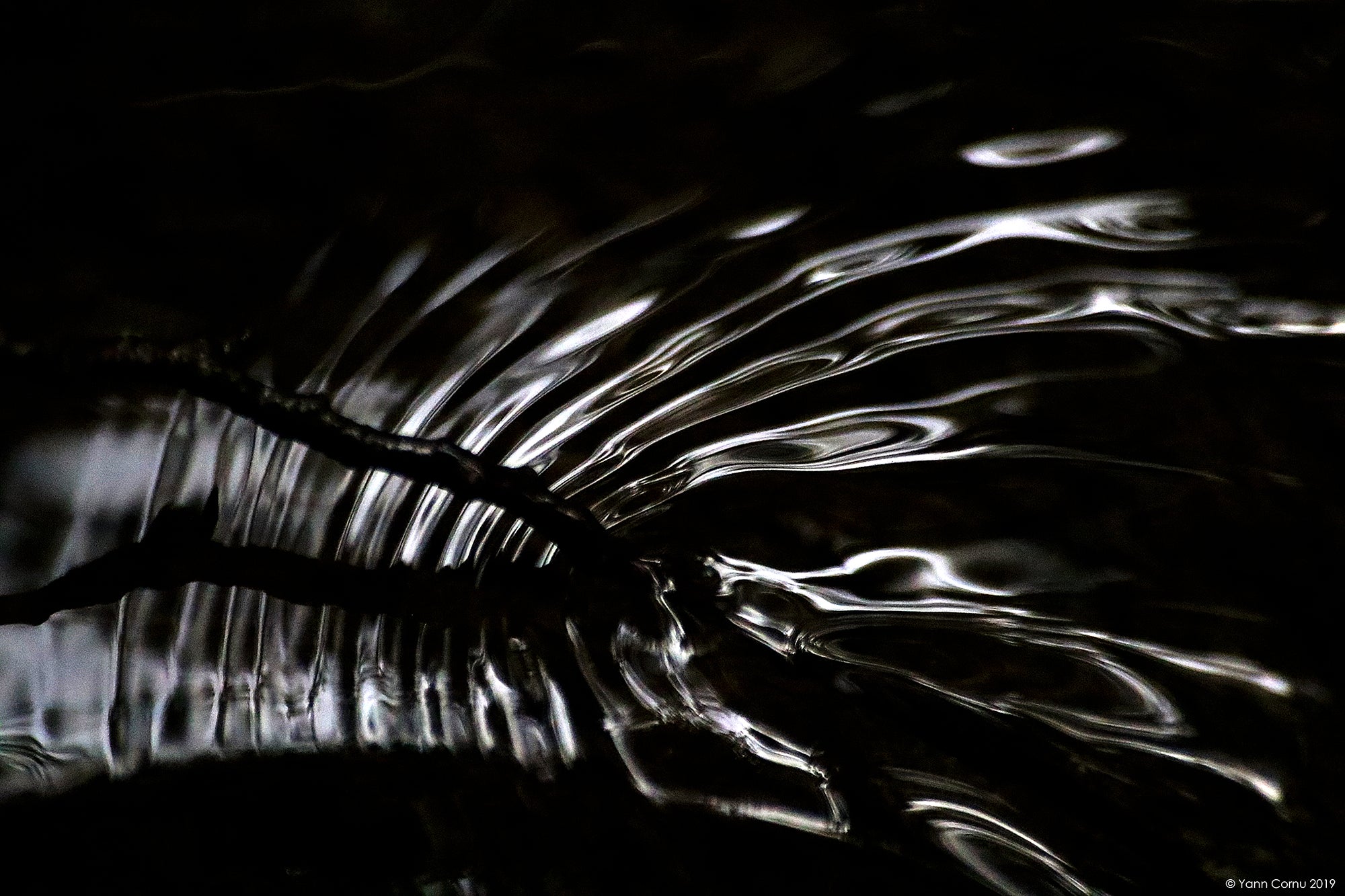 Tapete im Herzen des Wassers