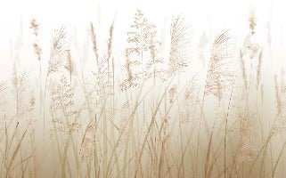 Tapete Blume der Weizenfelder