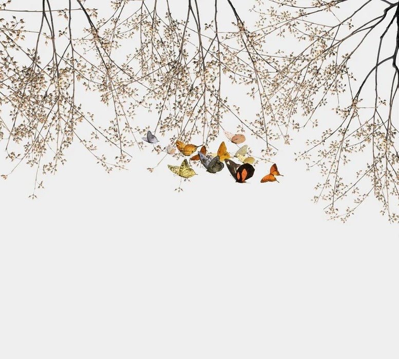 Papier peint salon branchage & papillon, XXL, tendance