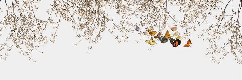 Tapete Wohnzimmer Ast & Schmetterling