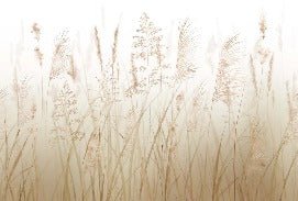 Tapete Blume der Weizenfelder