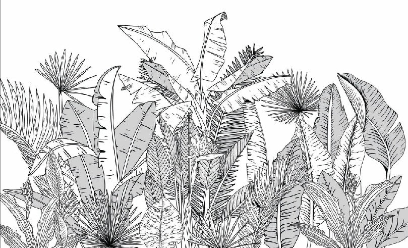 Schwarz-weiße Panorama-Tapete botanic leaf