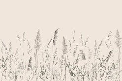 Papier peint panoramique prairie sauvage, XXL, tendance