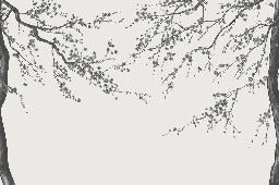 Panorama-Tapete Sakura-Blume schwarz und weiß