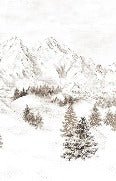 Tapete Bergmassiv der Alpen