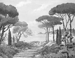 Papier peint balade dans les calanques noir et blanc, XXL, tendance