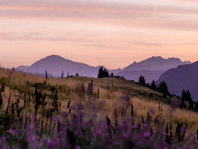 Papier peint restaurant massif du Giffre, XXL, tendance