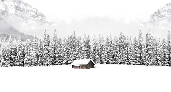 Papier peint panoramique chalet en montagne, XXL, tendance