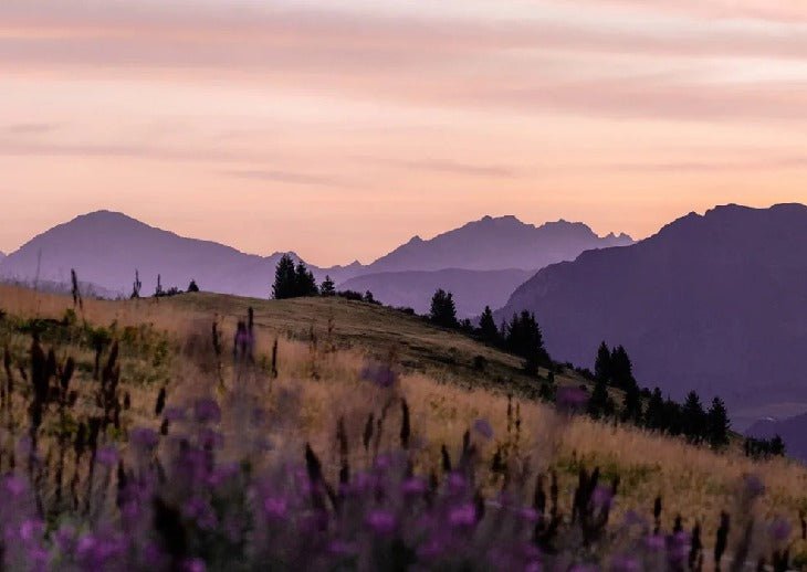 Papier peint restaurant massif du Giffre, XXL, tendance