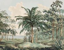 Papier peint paysage Célèbes, XXL, tendance